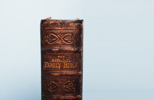 weathered spine of the national family bible
