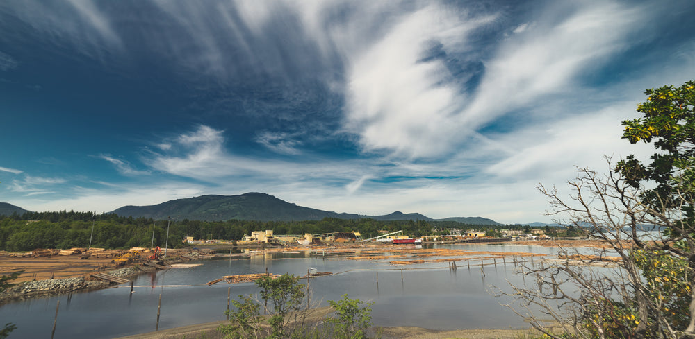 west coast lumber mill