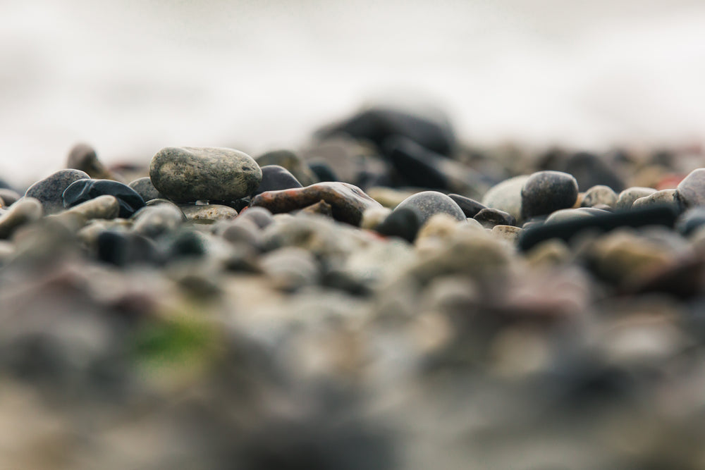 wet rocky shore