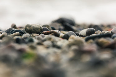 wet rocky shore