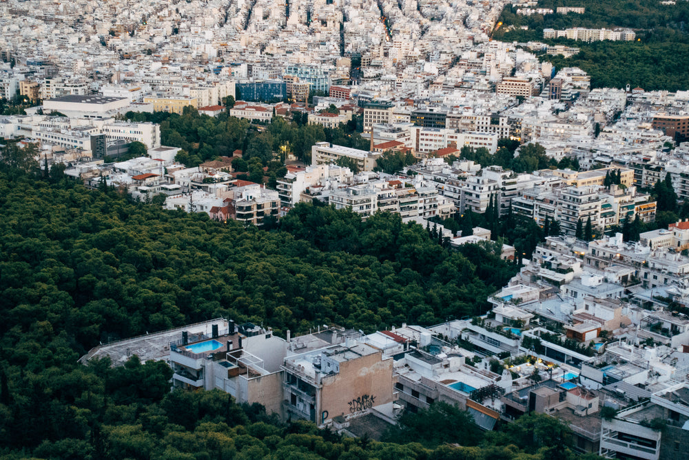 where the forest and city meet