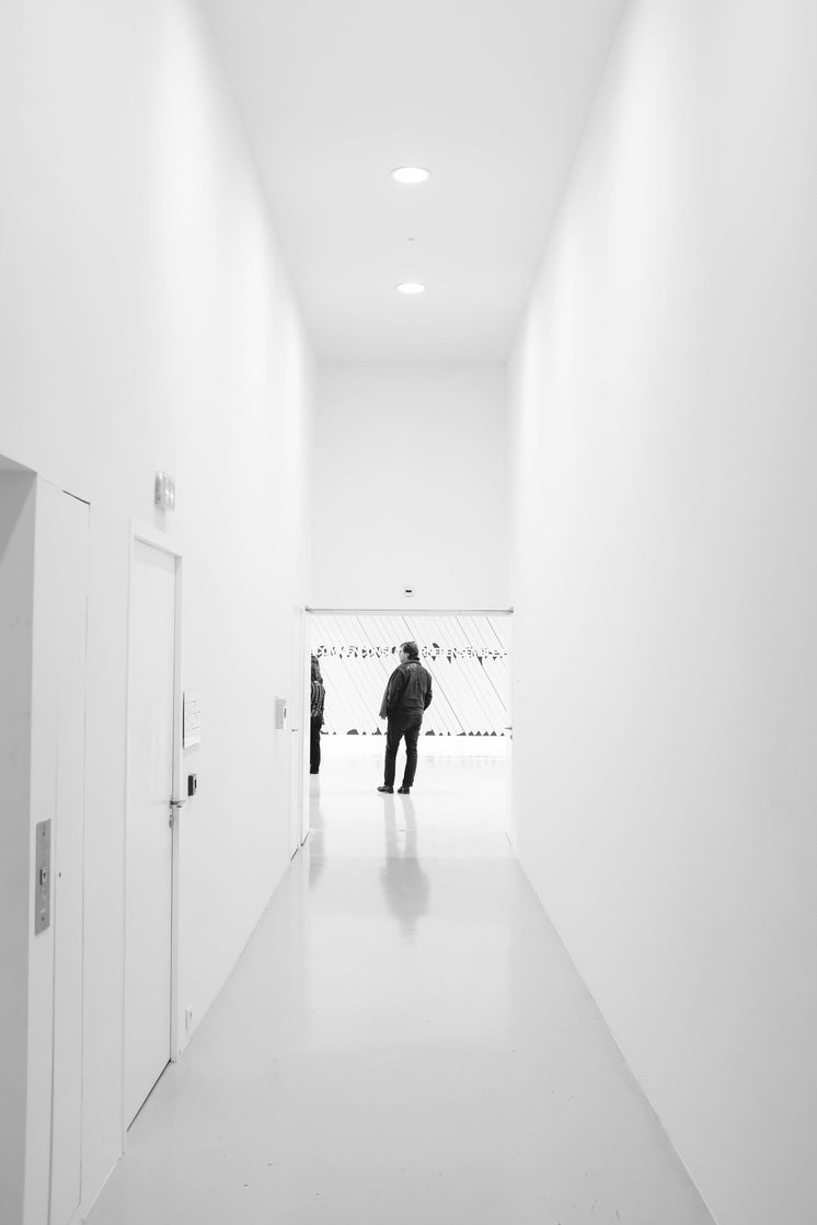 white-art-gallery.jpg?width=746&format=pjpg&exif=0&iptc=0