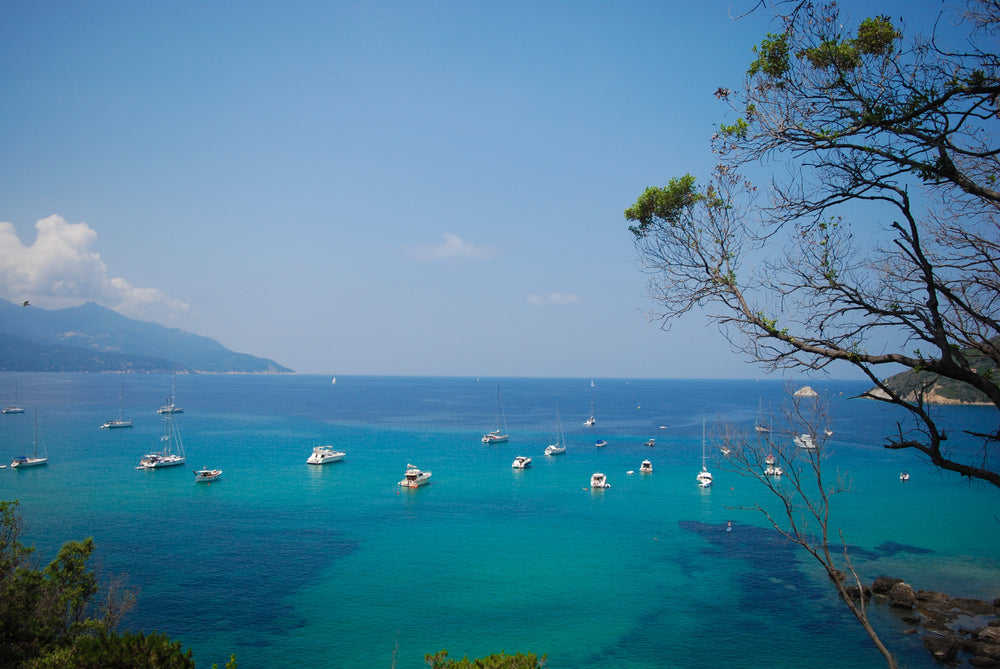 white boats sit evenly spaced in aqua blue water