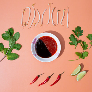 white bowl surrounded by herbs chilis and lime slices