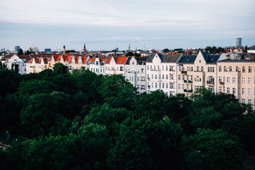 white buildings and green trees in a row