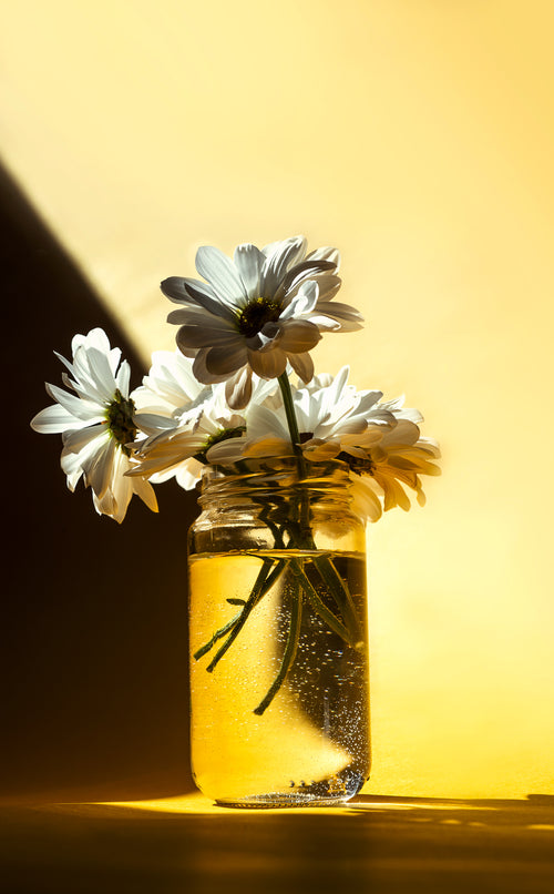 white daisies in a glass jar against yellow
