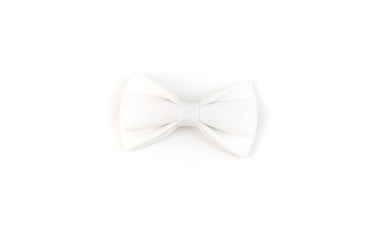 white dog bowtie