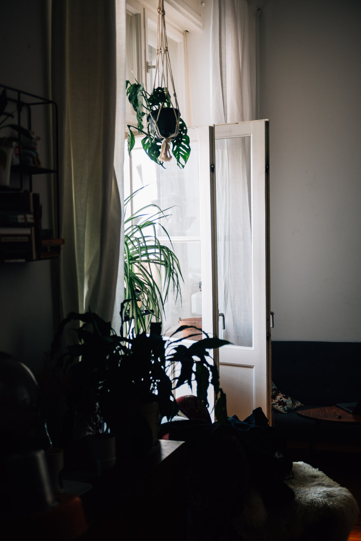 white doors and curtains let in light for houseplants