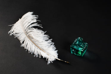 white feather quill laid next to an ink bottle