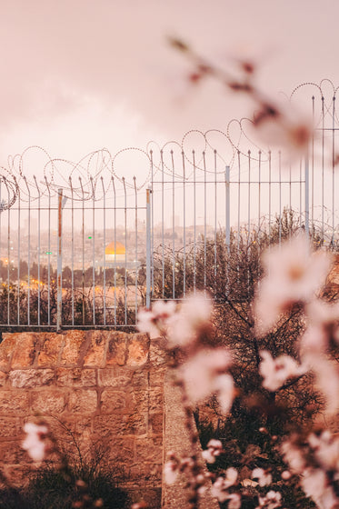 white fence with looped barbed wire