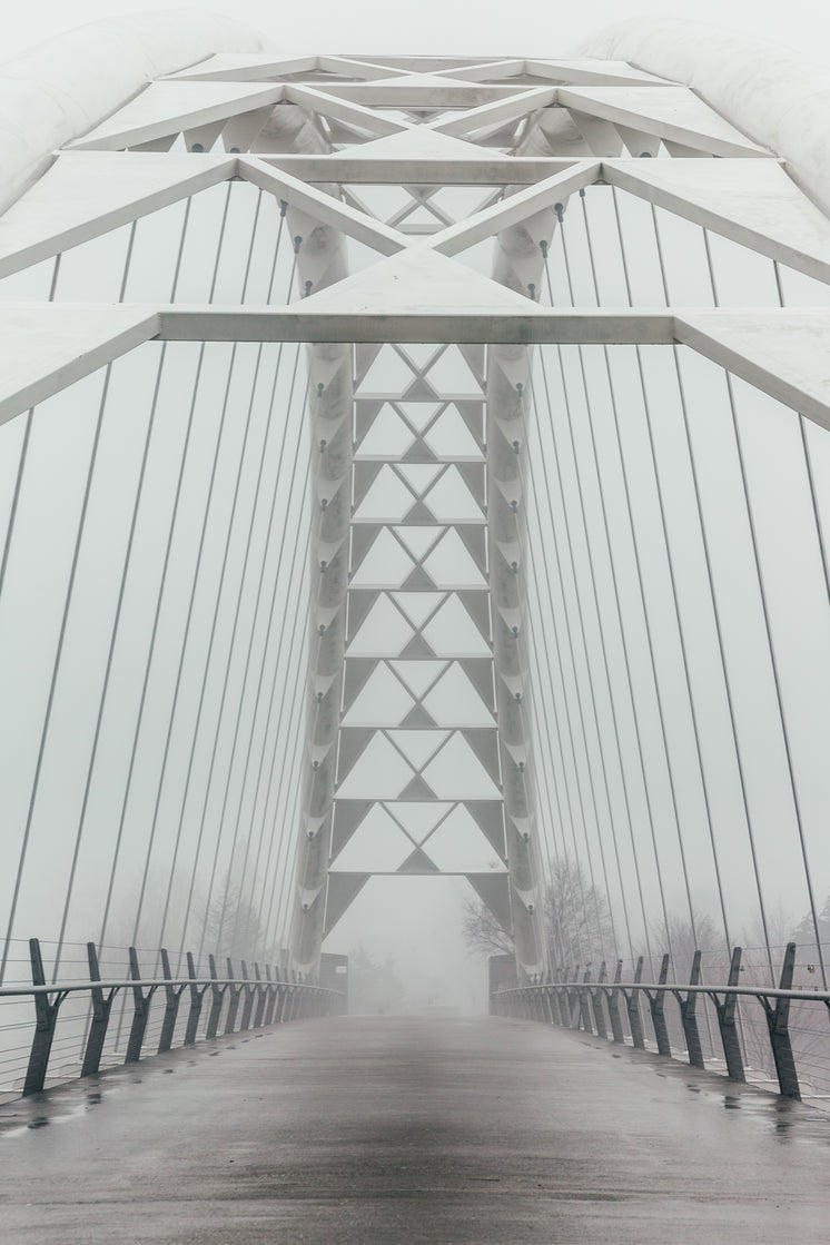 white-geometric-bridge-fog.jpg?width=746&format=pjpg&exif=0&iptc=0