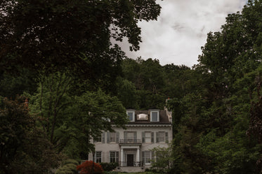 white house with shutters surrounded by green trees