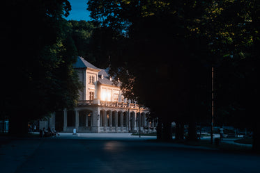 white illuminated buildings by sunlight through trees