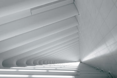 white linear angled architecture