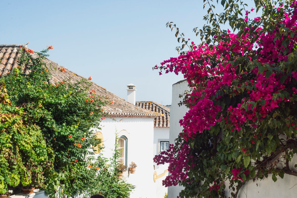 white mediterranean buildings splashed with color
