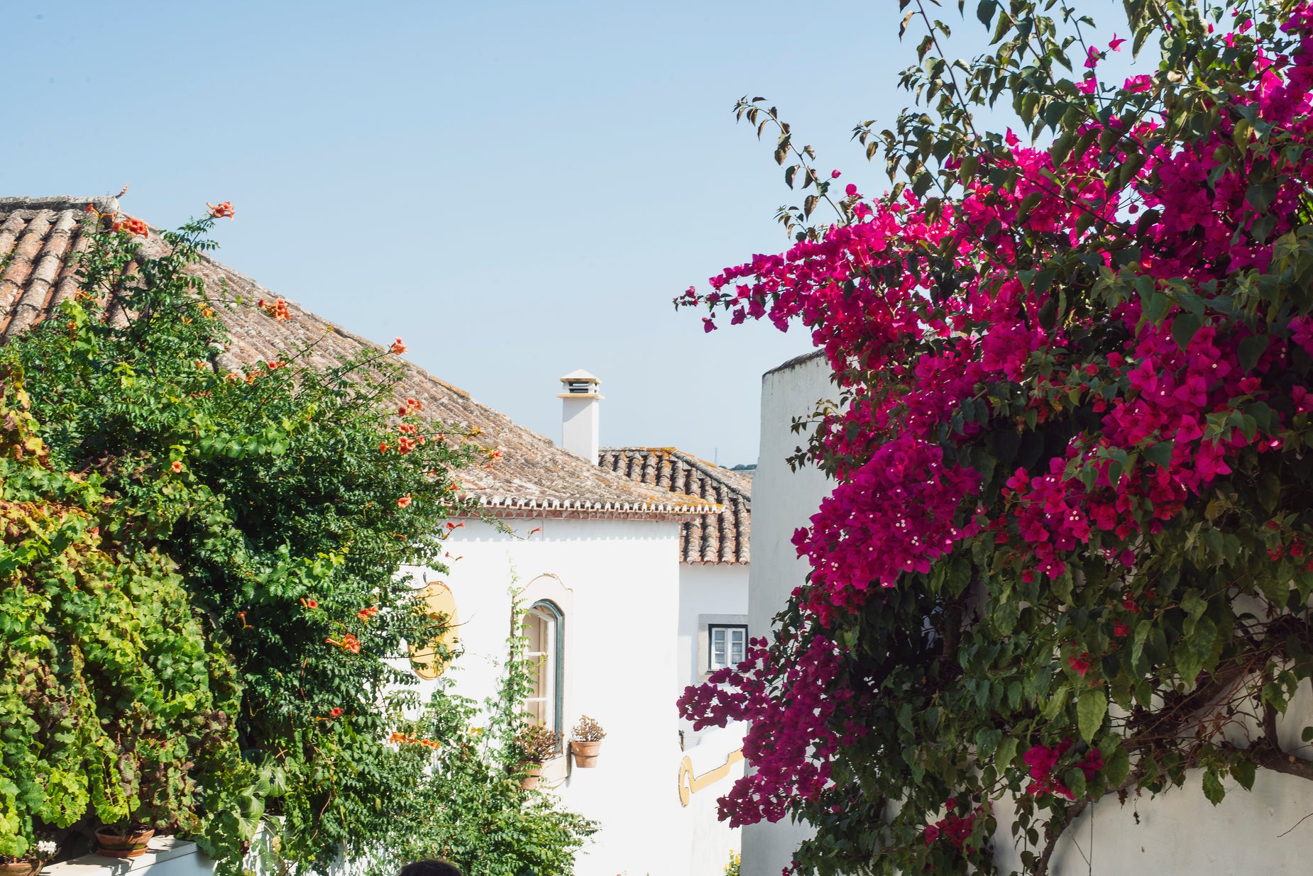 Splashed Buildings Browse Free HD Images of White Mediterranean Buildings Splashed With Color