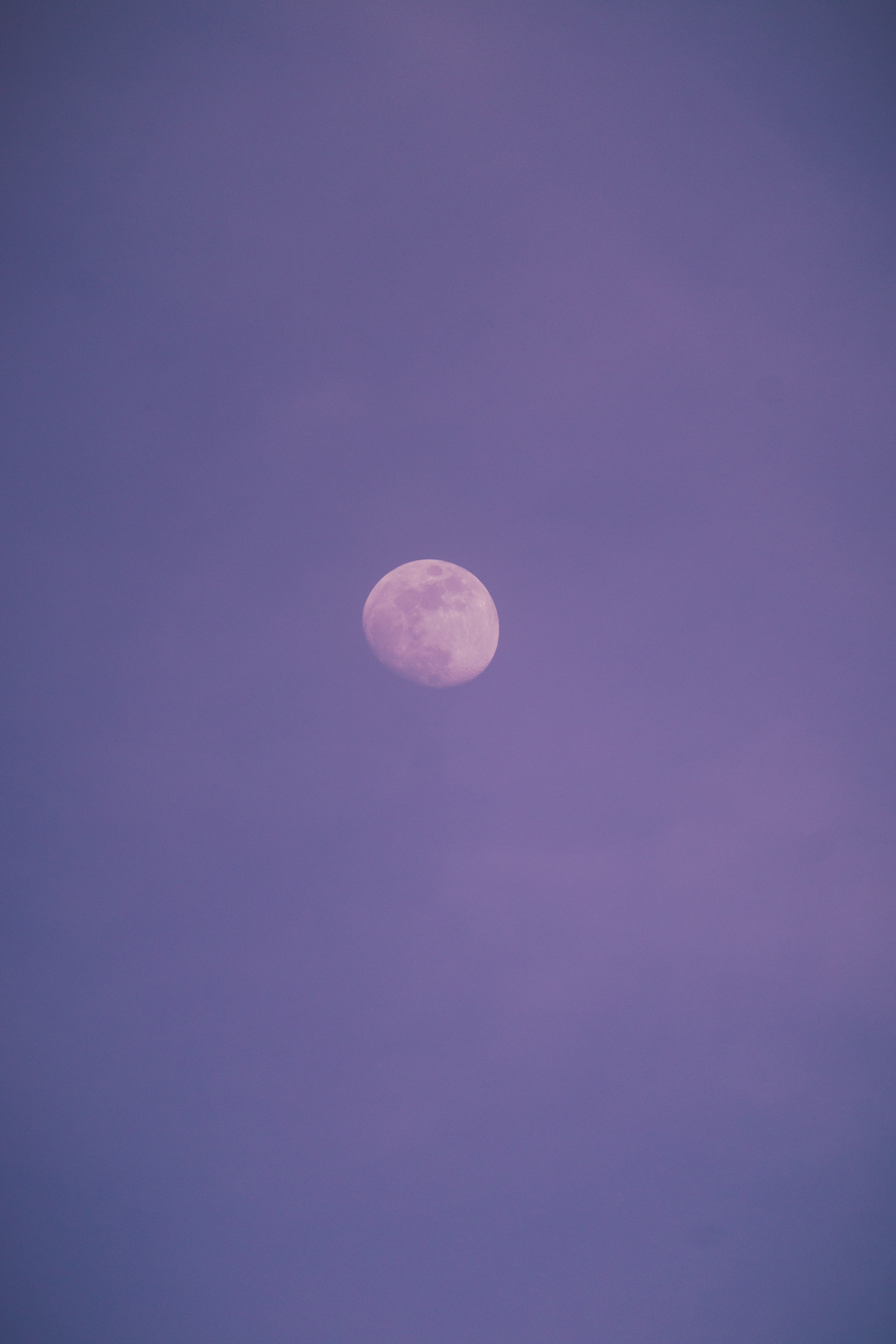 High Res White Moon Purple Night Sky Picture — Free Images