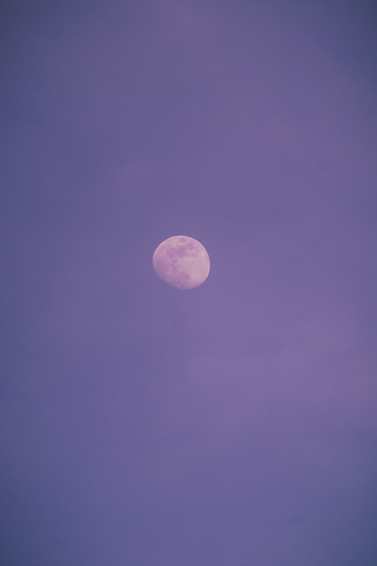 白月紫夜空