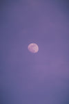 white moon purple night sky