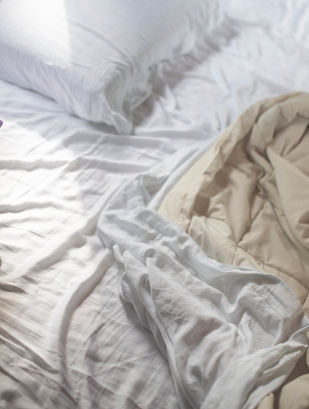 乱糟糟的床上，白色的枕头和床单