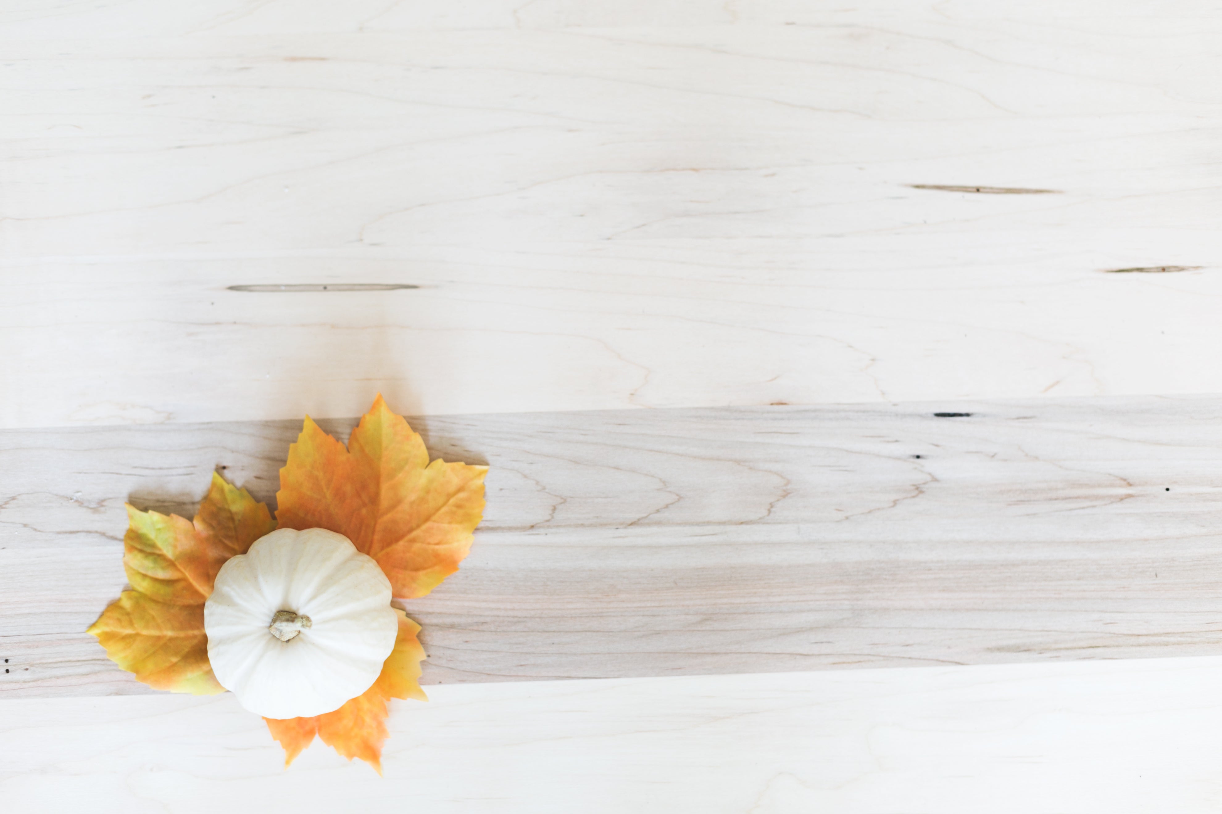 White pumpkins and autumn leaves for a cozy Thanksgiving family gathering