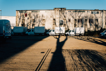 white trucks lined up in a row