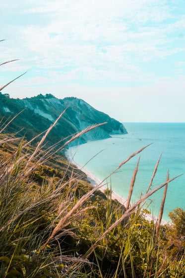 wild foliage on the hill top of a coastline