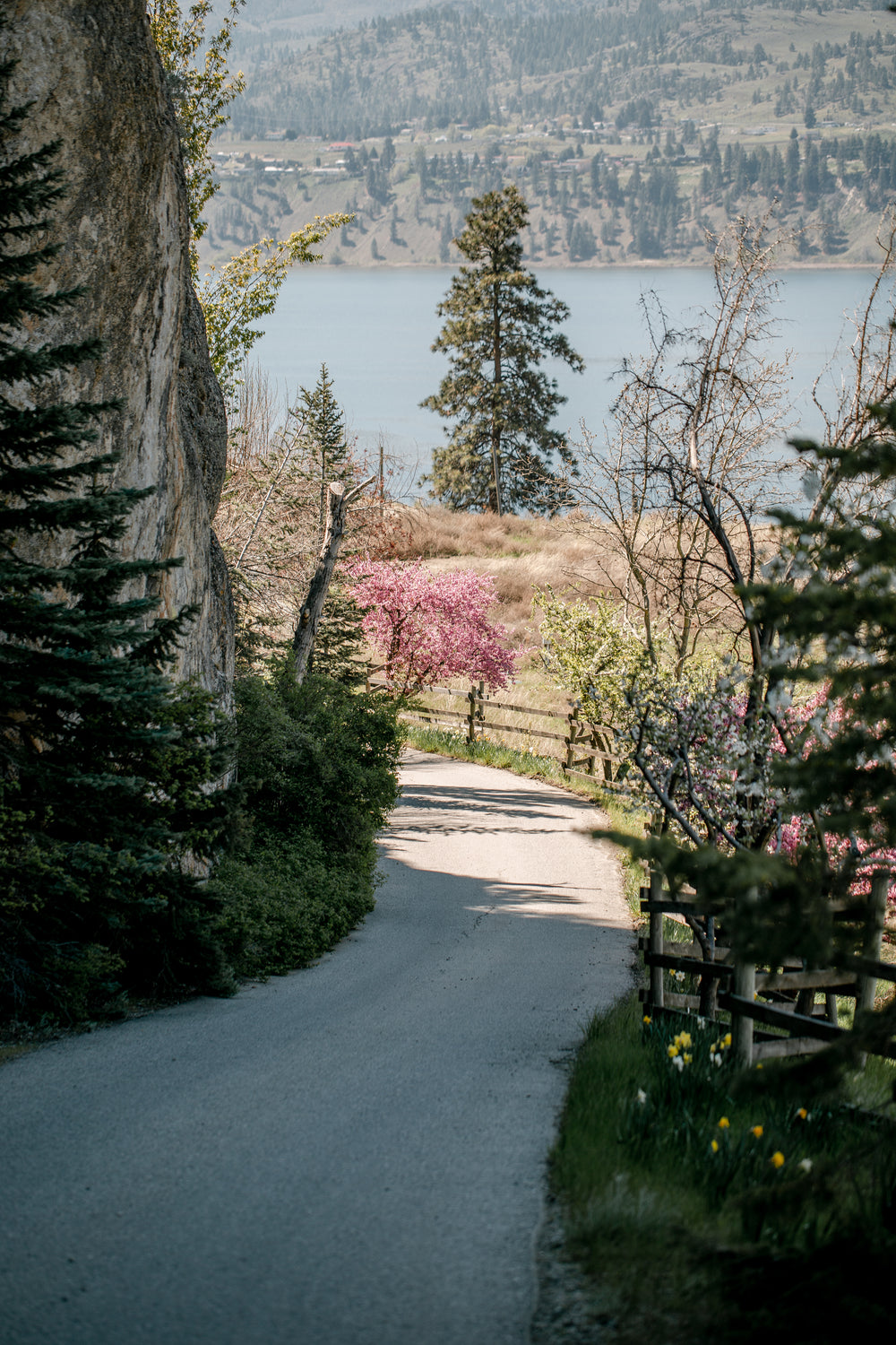 winding country road toward lake