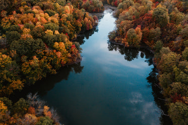 rio sinuoso em meio a árvores de vários tons coloridos