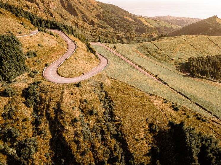 winding-road-through-grassy-and-tree-lin