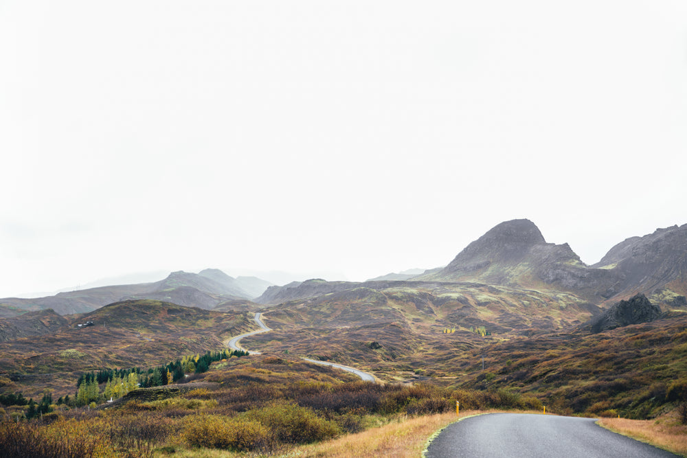 winding road through mossy hills