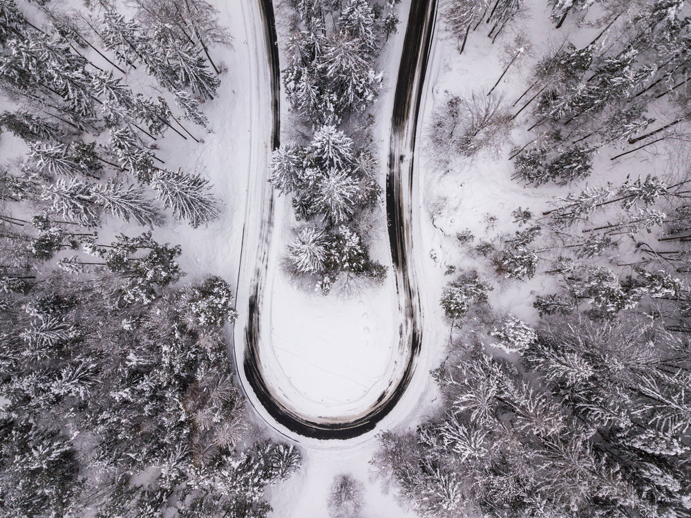 winding road through winter forest