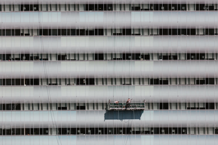 window-cleaners.jpg?width=746&format=pjp