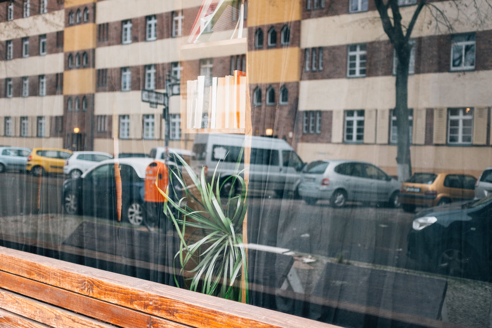 window with closed curtains and a green potted plant