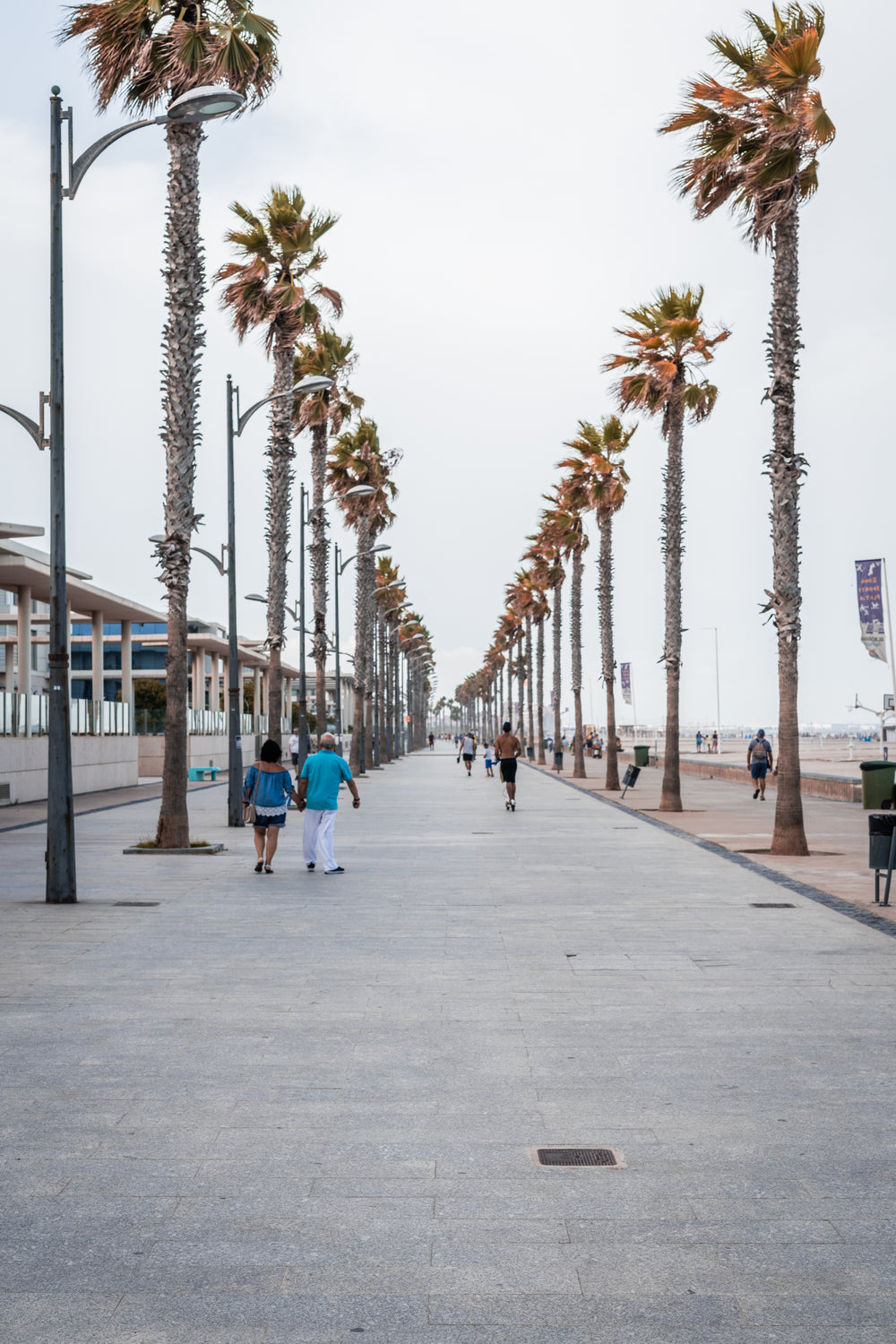 windy seaside walk