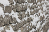 winter brick wall
