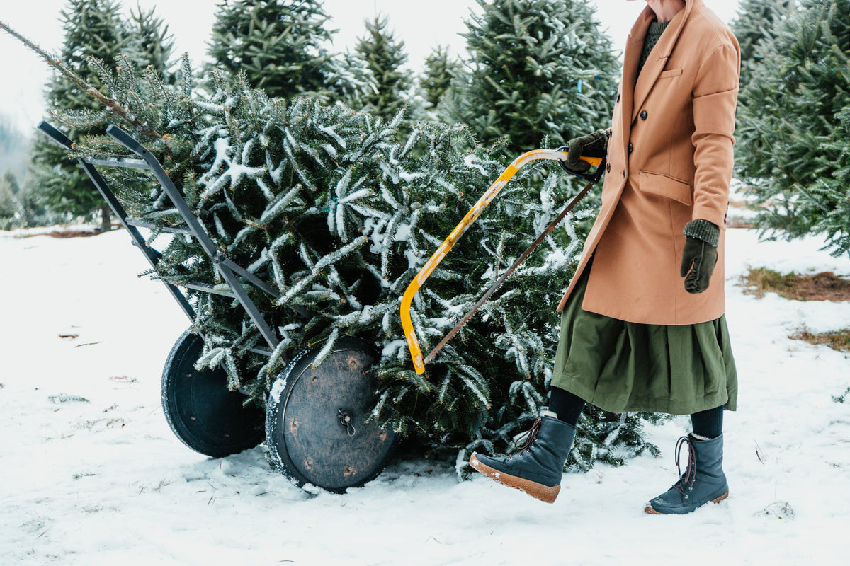 winter fashion tree hunt