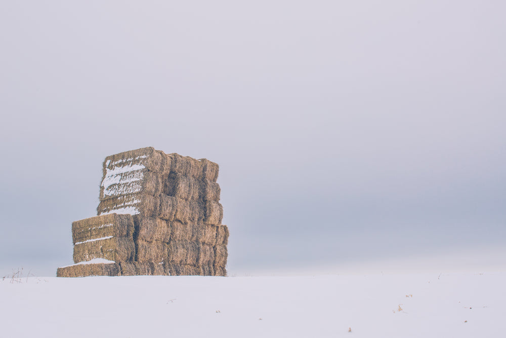 winter hay bails