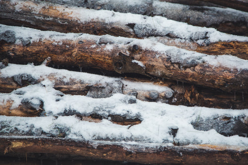 winter log pile