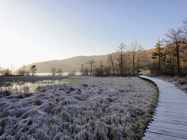 winter nature park boardwalk