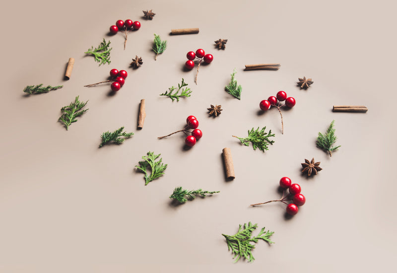 Cinnamon and Canines: Uncovering the Truth About Dogs Eating Cinnamon Discover the truth about whether dogs can eat cinnamon. Learn about the risks and benefits, appropriate dosage, and more. Read our guide now
