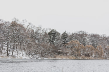 winter season by the shore