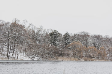 Free Winter Season By The Shore Image: Stunning Photography