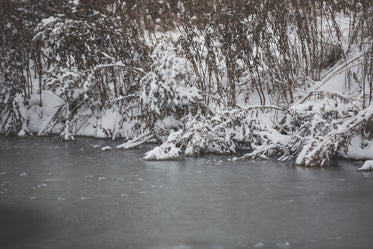 winter shore line