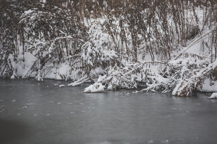 Interesting Factoids I Bet You Never Knew About Heavy Equipment Winter Shore Line