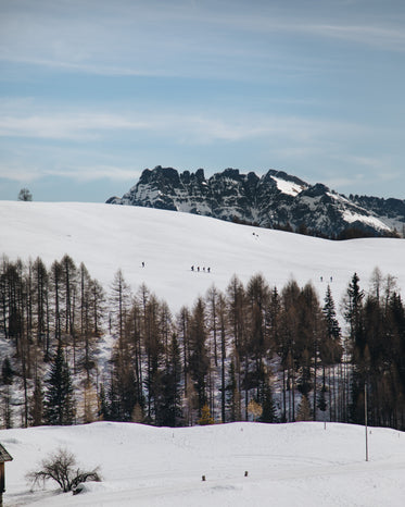 winter travelers in the distance