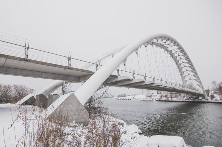 Winter Under A White Bridge