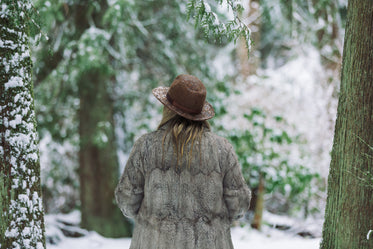 winter walk in the woods