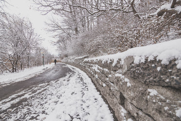 winter woods path