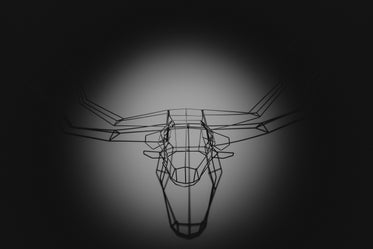 wire frame cattle head art